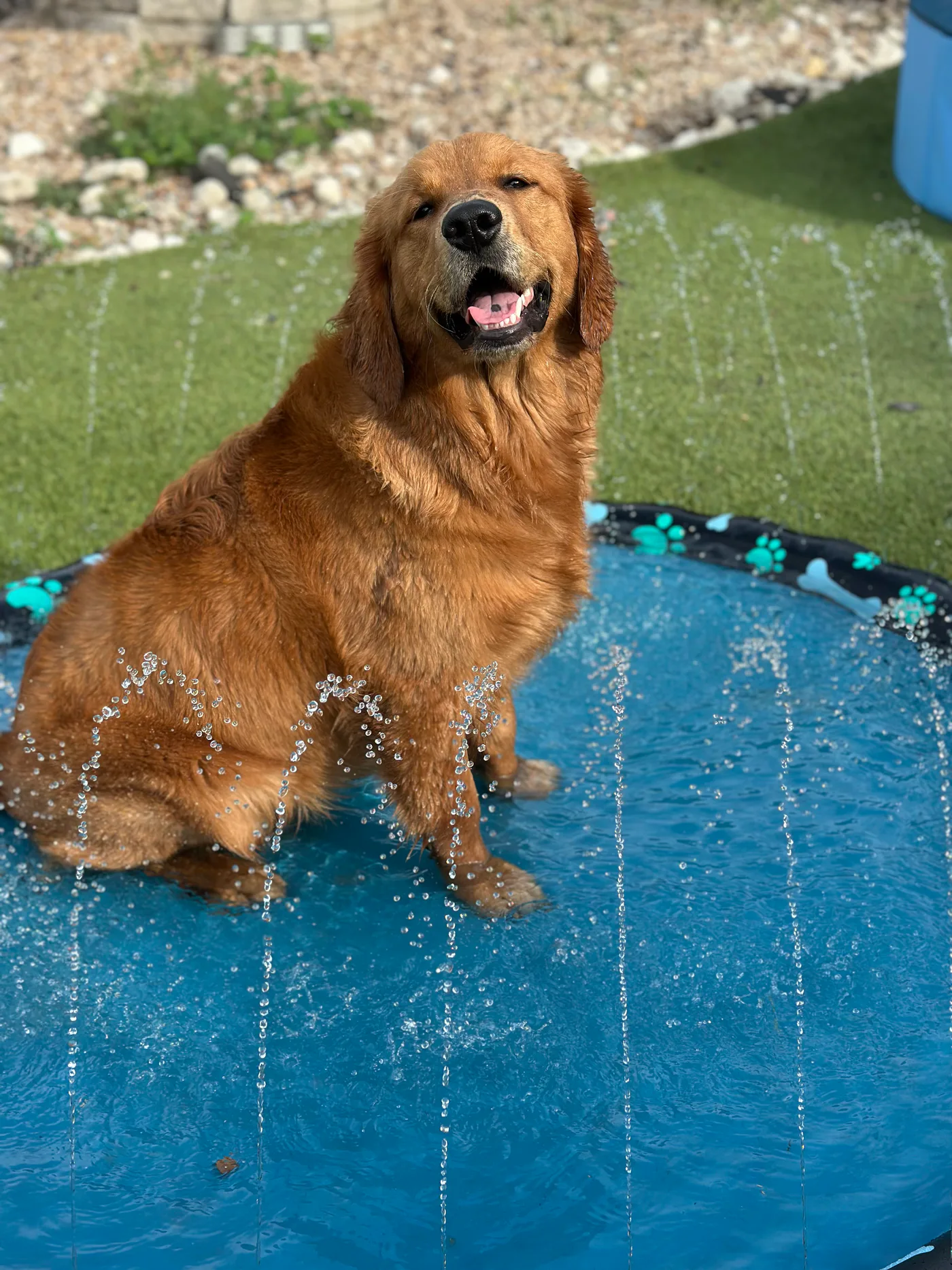 Duncan smiling while sitting among sprays of water in a splash pad.